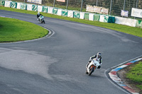 Lower Group White Bikes